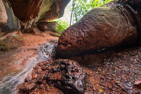 The Ultimate Guide To Naka Cave, Thailand: All You Need To Know